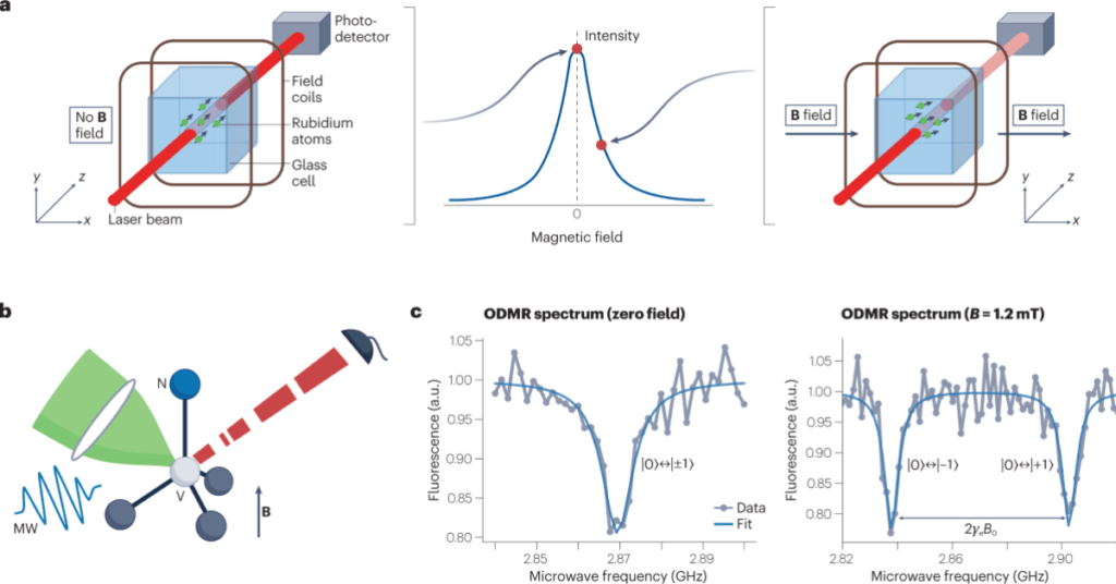 Quantum Sensors