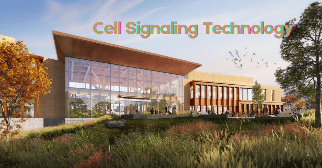 Cell Signaling Technology